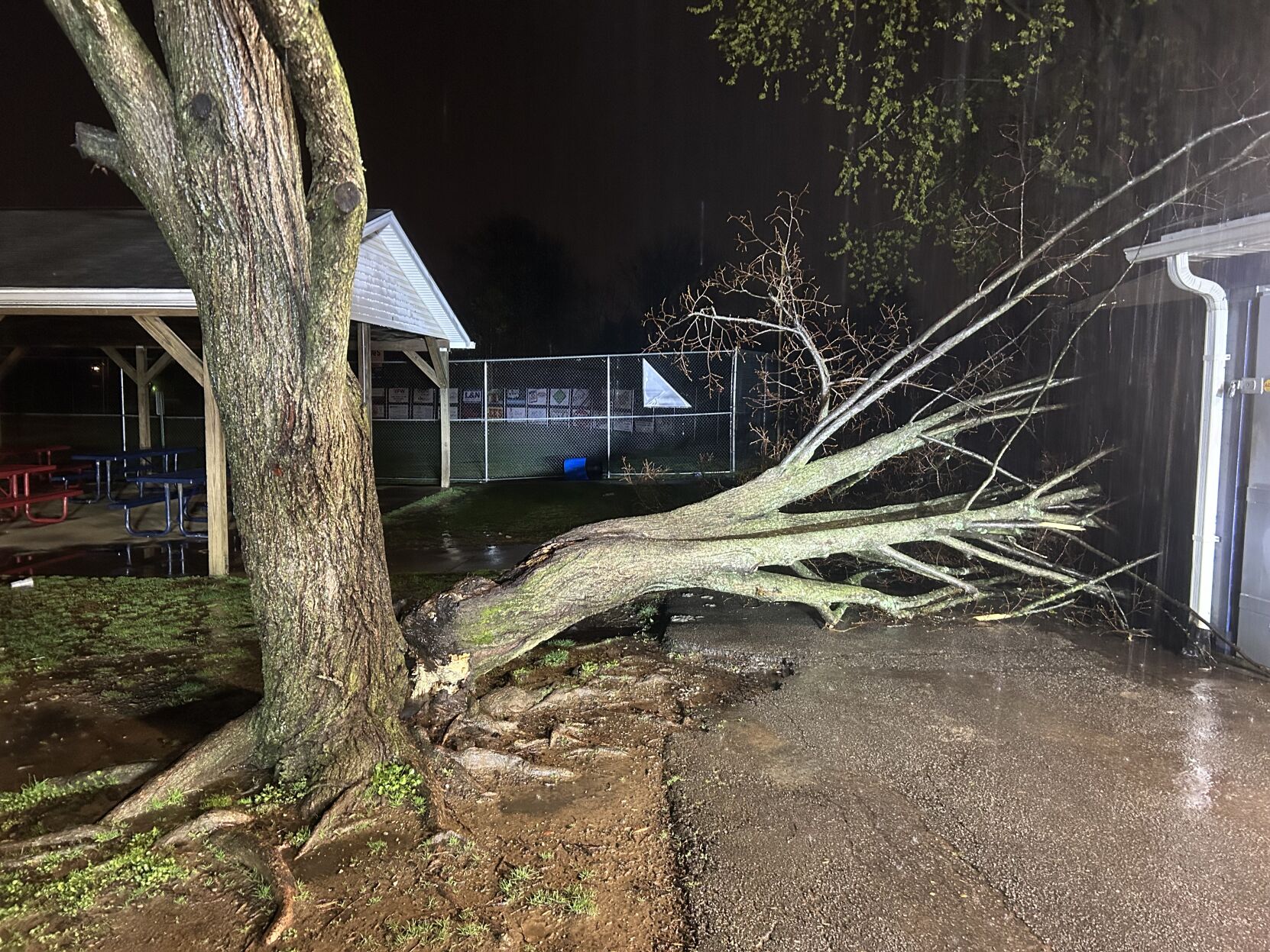 STORM - TREE DOWN - STONESTREET ROAD - ARIANA 3-30- 2025.jpeg